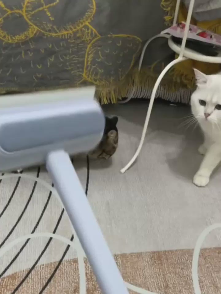 4-in-1 Pet Hair Remover & Cleaning Brush